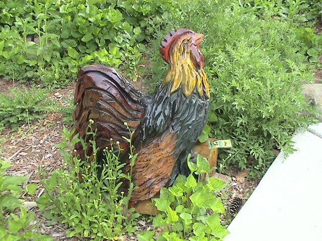 Rooster